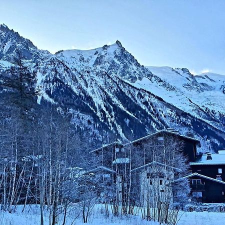 Cosy Studio On The Slopes And Centre Of Chamonix Kültér fotó