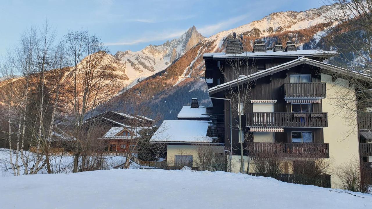 Cosy Studio On The Slopes And Centre Of Chamonix Kültér fotó